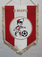 /album/svaty-jur/svaty-jur-jur-pri-bratislave-tj-meopta-34-jpg/